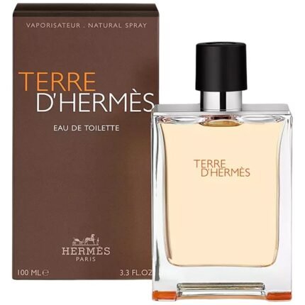 Hermes Terre D'Hermes EDT (M) 100ml